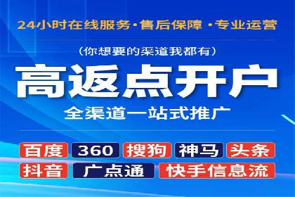 案例研究：SEM开户助力电商快速崛起